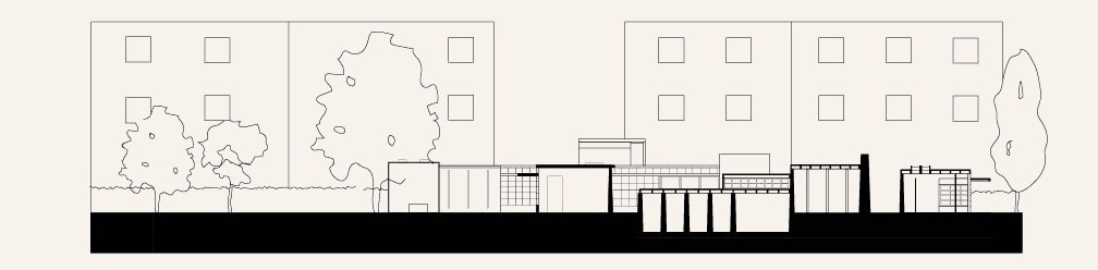 Site Section Cut
